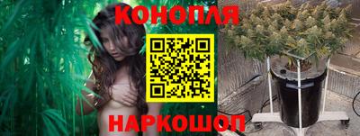 apvp Обнинск