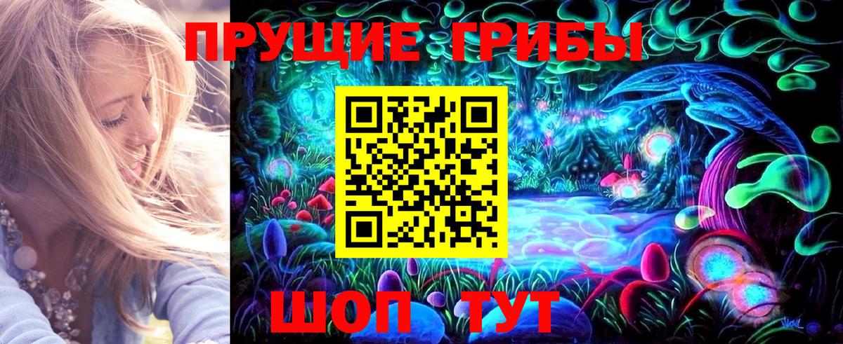 Псилоцибиновые грибы ЛСД  Вход с VPN  Ярославль  Псилоцибиновые грибы Psilocybine cubensis 