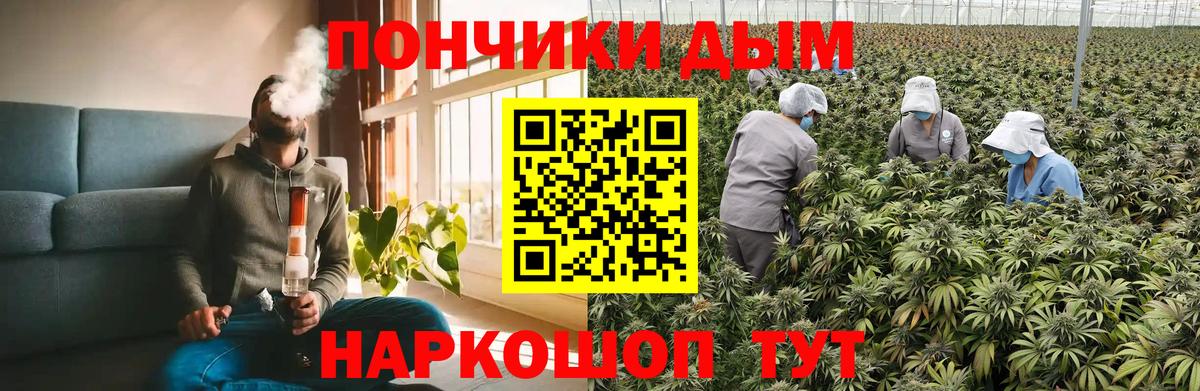 Конопля Bruce Banner Ярославль